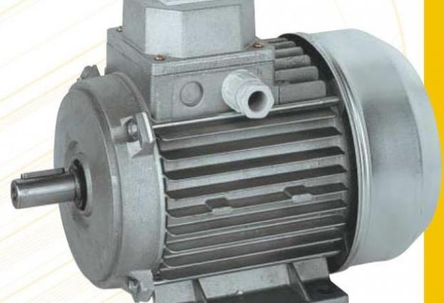 詳細(xì)介紹三相異步雙速電動(dòng)機(jī)的工作原理及應(yīng)用
