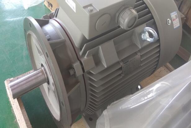 電摩電機型號有哪些，電摩電機型號詳解